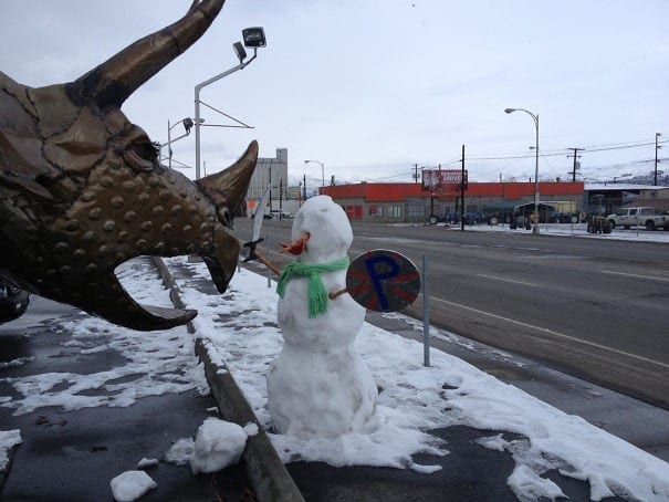 The Fearless Snowman