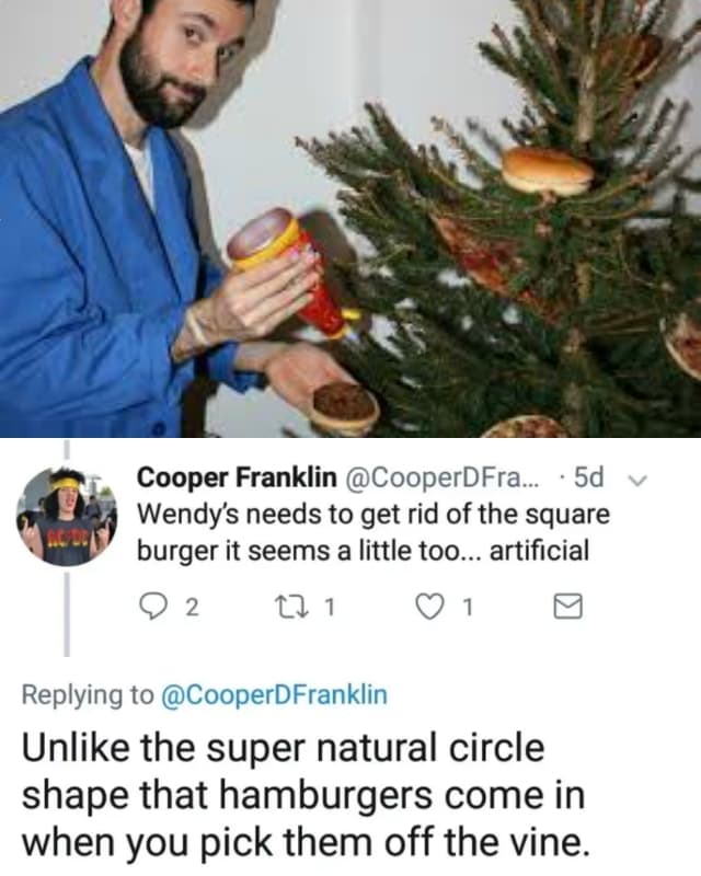 This image has an empty alt attribute; its file name is wendys-round-burger1.jpg